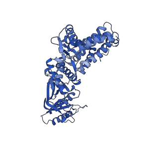 12607_7nvn_Z_v1-3
Human TRiC complex in closed state with nanobody and tubulin bound