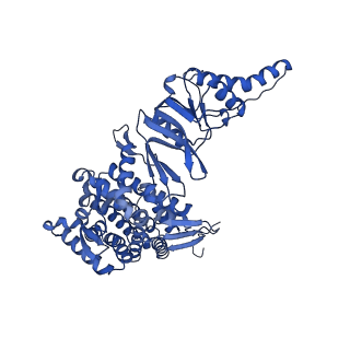 12607_7nvn_a_v1-3
Human TRiC complex in closed state with nanobody and tubulin bound