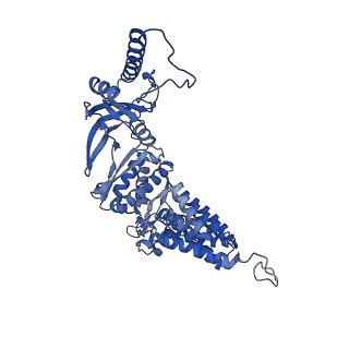 12607_7nvn_b_v1-3
Human TRiC complex in closed state with nanobody and tubulin bound