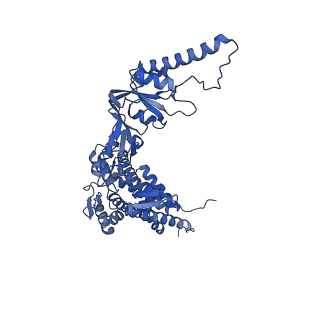12607_7nvn_d_v1-3
Human TRiC complex in closed state with nanobody and tubulin bound