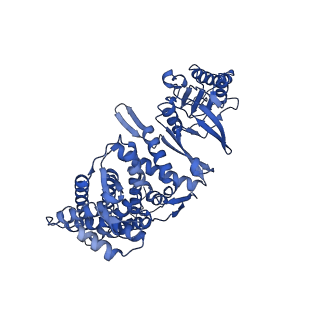 12607_7nvn_g_v1-3
Human TRiC complex in closed state with nanobody and tubulin bound