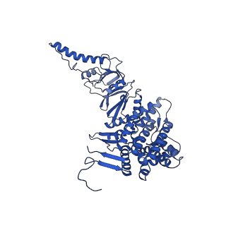 12607_7nvn_h_v1-3
Human TRiC complex in closed state with nanobody and tubulin bound