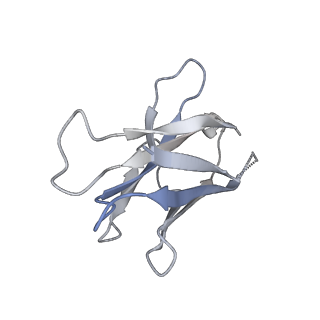 12607_7nvn_n_v1-3
Human TRiC complex in closed state with nanobody and tubulin bound