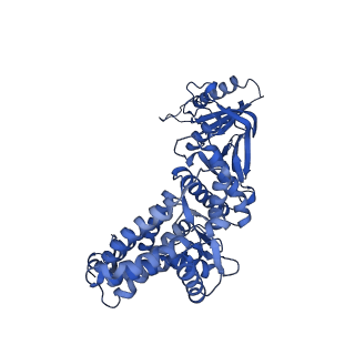12607_7nvn_z_v1-3
Human TRiC complex in closed state with nanobody and tubulin bound