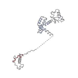 12610_7nvr_3_v1-2
Human Mediator with RNA Polymerase II Pre-initiation complex