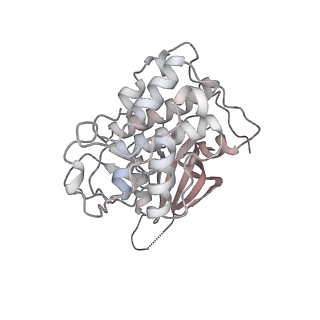 12610_7nvr_8_v1-2
Human Mediator with RNA Polymerase II Pre-initiation complex