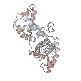 12610_7nvr_9_v1-2
Human Mediator with RNA Polymerase II Pre-initiation complex