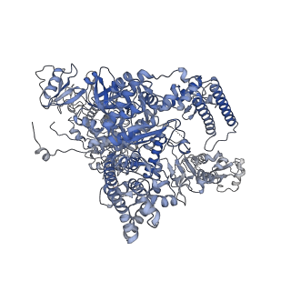 12610_7nvr_A_v1-2
Human Mediator with RNA Polymerase II Pre-initiation complex