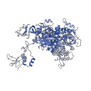 12610_7nvr_B_v1-2
Human Mediator with RNA Polymerase II Pre-initiation complex