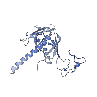 12610_7nvr_C_v1-2
Human Mediator with RNA Polymerase II Pre-initiation complex