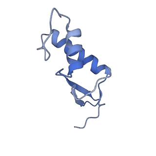 12610_7nvr_F_v1-2
Human Mediator with RNA Polymerase II Pre-initiation complex