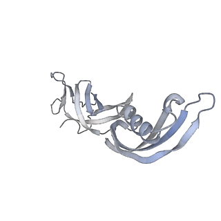 12610_7nvr_G_v1-2
Human Mediator with RNA Polymerase II Pre-initiation complex
