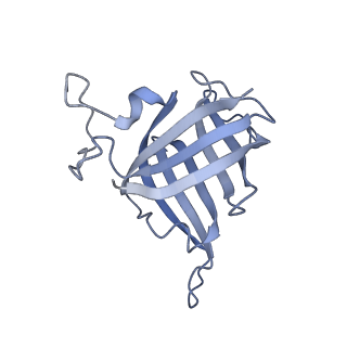 12610_7nvr_H_v1-2
Human Mediator with RNA Polymerase II Pre-initiation complex