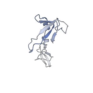 12610_7nvr_I_v1-2
Human Mediator with RNA Polymerase II Pre-initiation complex