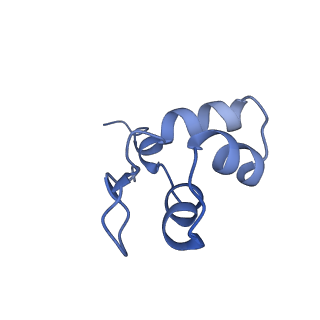 12610_7nvr_J_v1-2
Human Mediator with RNA Polymerase II Pre-initiation complex