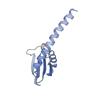 12610_7nvr_K_v1-2
Human Mediator with RNA Polymerase II Pre-initiation complex