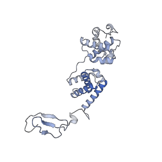 12610_7nvr_M_v1-2
Human Mediator with RNA Polymerase II Pre-initiation complex