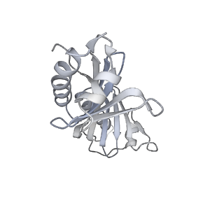 12610_7nvr_O_v1-2
Human Mediator with RNA Polymerase II Pre-initiation complex