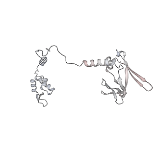12610_7nvr_R_v1-2
Human Mediator with RNA Polymerase II Pre-initiation complex