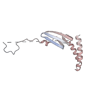 12610_7nvr_U_v1-2
Human Mediator with RNA Polymerase II Pre-initiation complex