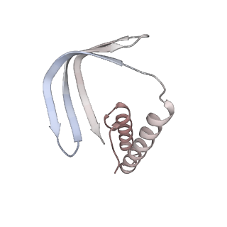 12610_7nvr_V_v1-2
Human Mediator with RNA Polymerase II Pre-initiation complex