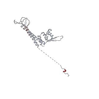 12610_7nvr_W_v1-2
Human Mediator with RNA Polymerase II Pre-initiation complex