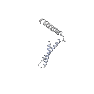 12610_7nvr_c_v1-2
Human Mediator with RNA Polymerase II Pre-initiation complex