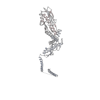 12610_7nvr_d_v1-2
Human Mediator with RNA Polymerase II Pre-initiation complex