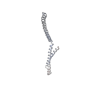 12610_7nvr_g_v1-2
Human Mediator with RNA Polymerase II Pre-initiation complex