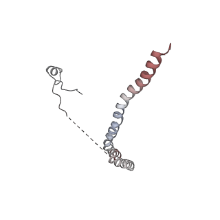 12610_7nvr_i_v1-2
Human Mediator with RNA Polymerase II Pre-initiation complex