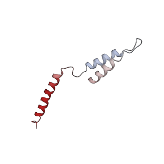 12610_7nvr_j_v1-2
Human Mediator with RNA Polymerase II Pre-initiation complex