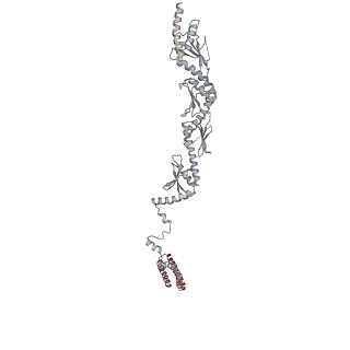 12610_7nvr_l_v1-2
Human Mediator with RNA Polymerase II Pre-initiation complex