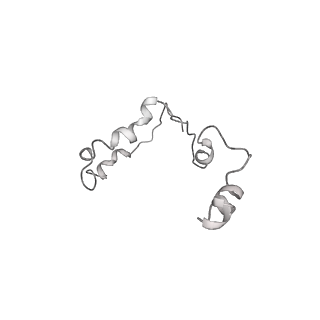 12610_7nvr_m_v1-2
Human Mediator with RNA Polymerase II Pre-initiation complex