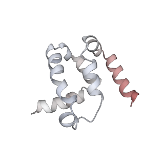 12610_7nvr_o_v1-2
Human Mediator with RNA Polymerase II Pre-initiation complex