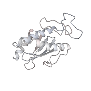 12610_7nvr_p_v1-2
Human Mediator with RNA Polymerase II Pre-initiation complex