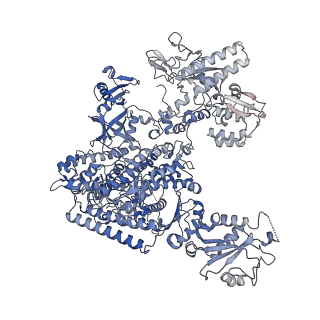 12611_7nvs_A_v1-1
RNA polymerase II core pre-initiation complex with closed promoter DNA in proximal position