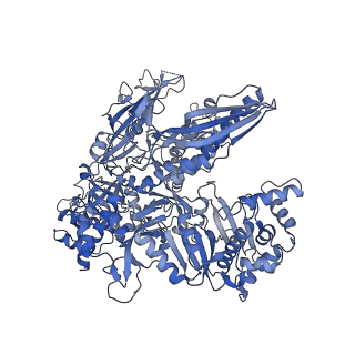 12611_7nvs_B_v1-1
RNA polymerase II core pre-initiation complex with closed promoter DNA in proximal position