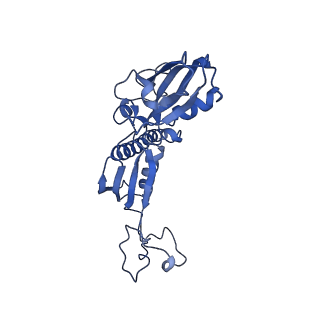 12611_7nvs_C_v1-1
RNA polymerase II core pre-initiation complex with closed promoter DNA in proximal position
