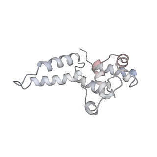 12611_7nvs_D_v1-1
RNA polymerase II core pre-initiation complex with closed promoter DNA in proximal position