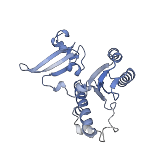 12611_7nvs_E_v1-1
RNA polymerase II core pre-initiation complex with closed promoter DNA in proximal position
