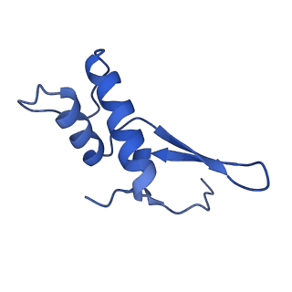 12611_7nvs_F_v1-1
RNA polymerase II core pre-initiation complex with closed promoter DNA in proximal position