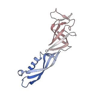 12611_7nvs_G_v1-1
RNA polymerase II core pre-initiation complex with closed promoter DNA in proximal position