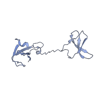 12611_7nvs_I_v1-1
RNA polymerase II core pre-initiation complex with closed promoter DNA in proximal position
