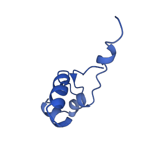 12611_7nvs_J_v1-1
RNA polymerase II core pre-initiation complex with closed promoter DNA in proximal position