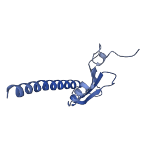 12611_7nvs_K_v1-1
RNA polymerase II core pre-initiation complex with closed promoter DNA in proximal position