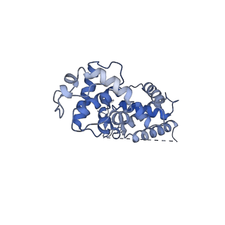 12611_7nvs_M_v1-1
RNA polymerase II core pre-initiation complex with closed promoter DNA in proximal position