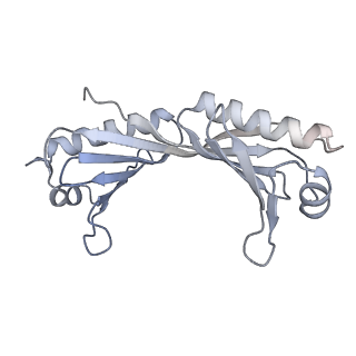 12611_7nvs_O_v1-1
RNA polymerase II core pre-initiation complex with closed promoter DNA in proximal position