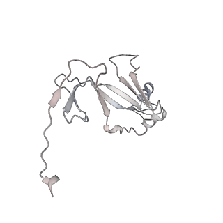 12611_7nvs_Q_v1-1
RNA polymerase II core pre-initiation complex with closed promoter DNA in proximal position