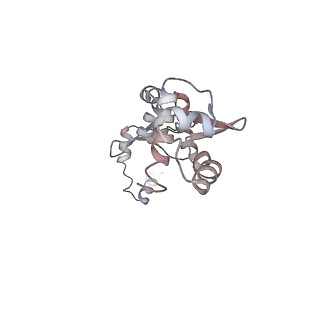 12611_7nvs_X_v1-1
RNA polymerase II core pre-initiation complex with closed promoter DNA in proximal position