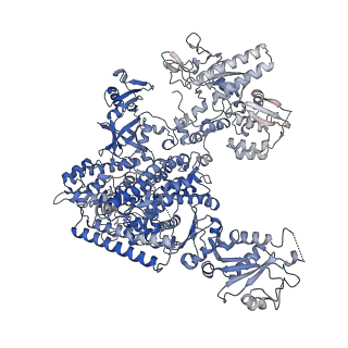 12612_7nvt_A_v1-1
RNA polymerase II core pre-initiation complex with closed promoter DNA in distal position